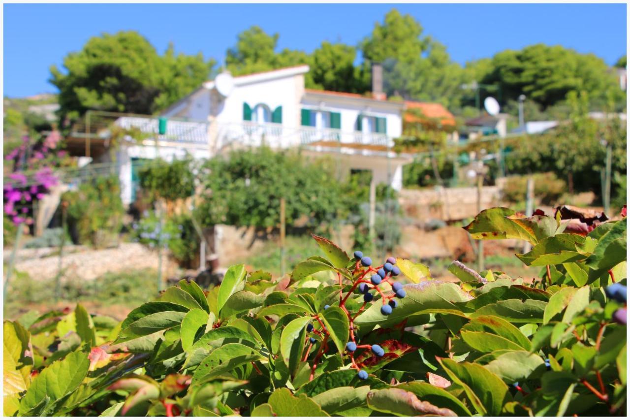 Apartment Katarina And House Marieta Dolac エクステリア 写真